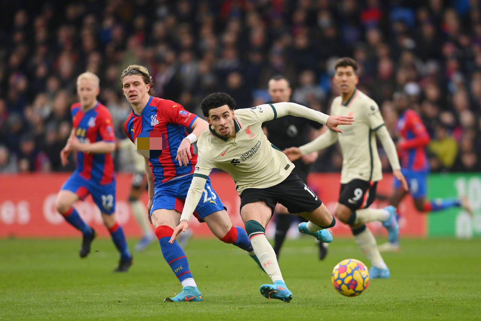 步培养年青 步培养年青